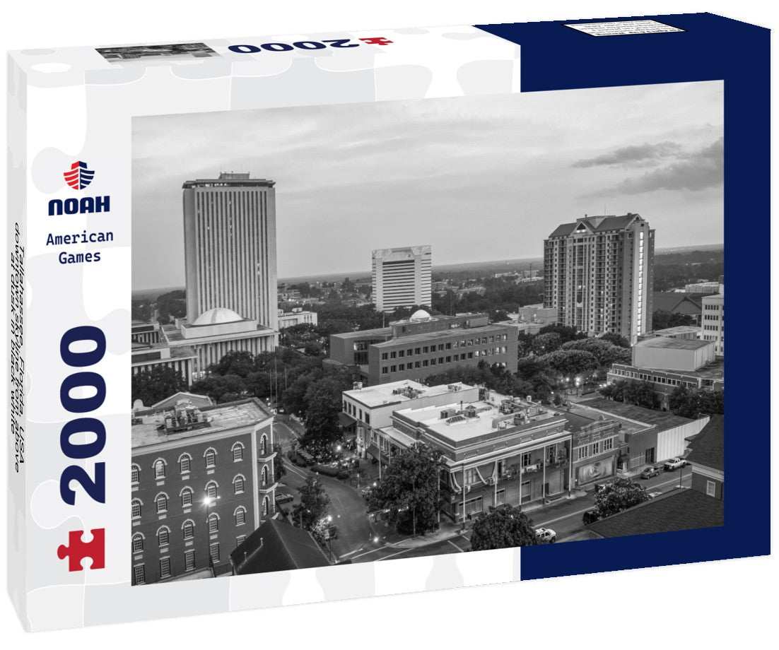 Noah Jigsaw Puzzle Tallahassee, Florida, USA downtown skyline from above at dusk in black white 2000 pieces