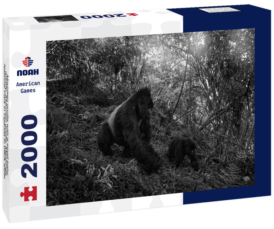 Noah Jigsaw Puzzle Mountain gorilla with a small baby - wildlife. Mountain gorilla, Mgahinga National Park in Uganda in black white 2000 pieces