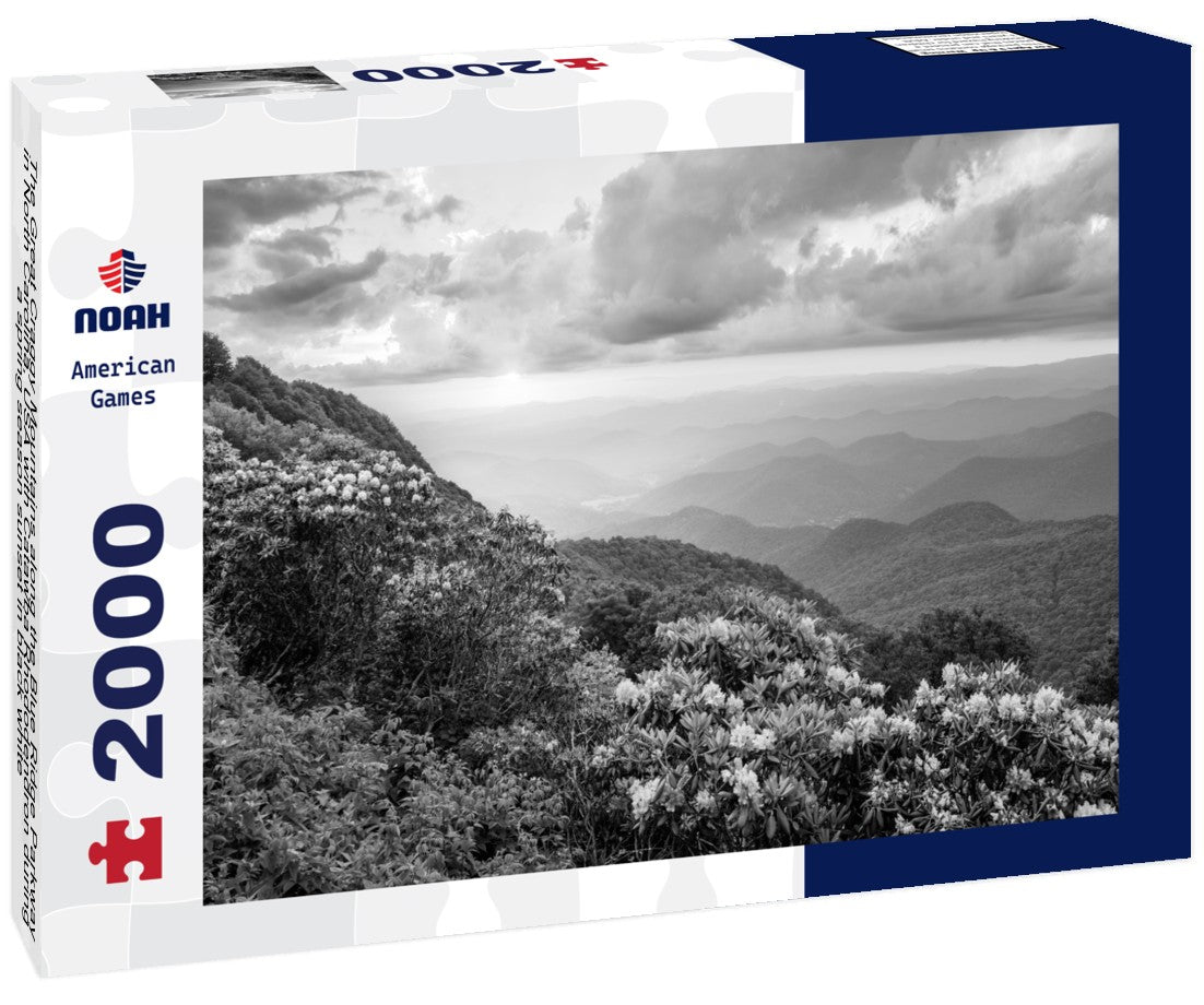 Noah Jigsaw Puzzle The Great Craggy Mountains along the Blue Ridge Parkway in North Carolina, USA with Catawba Rhododendron during a spring season sunset in black white 2000 pieces