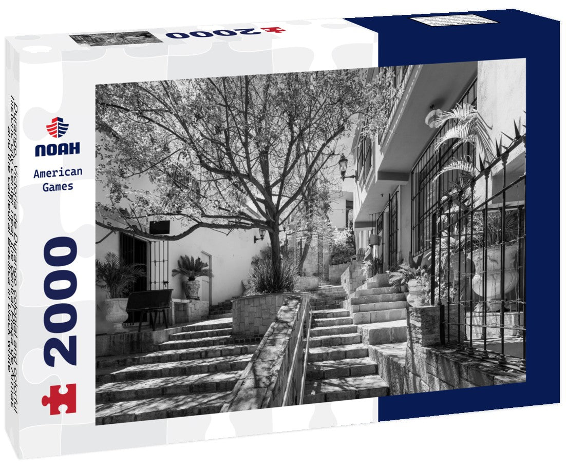 Noah Jigsaw Puzzle Durango, Victoria de Durango colonial and colorful historic city center near the central Plaza de Armas and the cathedral Basilica in black white 2000 pieces