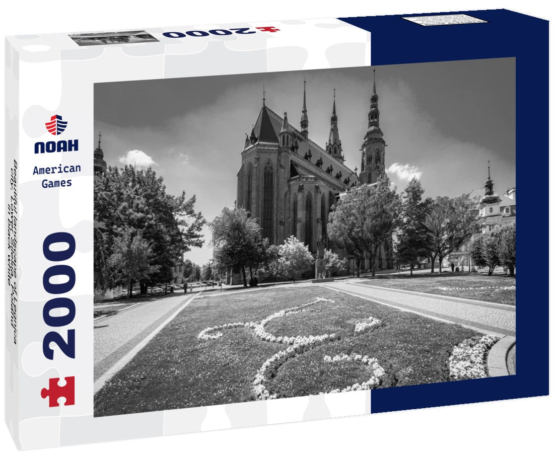 Noah Jigsaw Puzzle Beautiful landscape of Legnica city, Lower Silesia, Poland in black white 2000 pieces