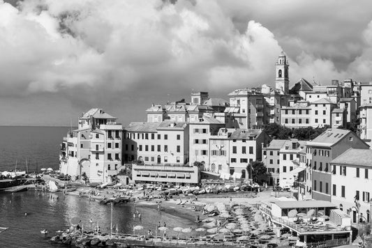 Noah Jigsaw Puzzle The most colorful seaside towns near Genoa - beautiful village of Bogliasco in Liguria with a nice beach. Italy in black white 2000 pieces