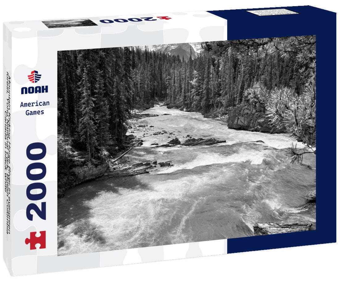 Noah Jigsaw Puzzle Mountain Kicking Horse River in evergreen forest, Yoho National Park, British Columbia, Canada in black white 2000 pieces