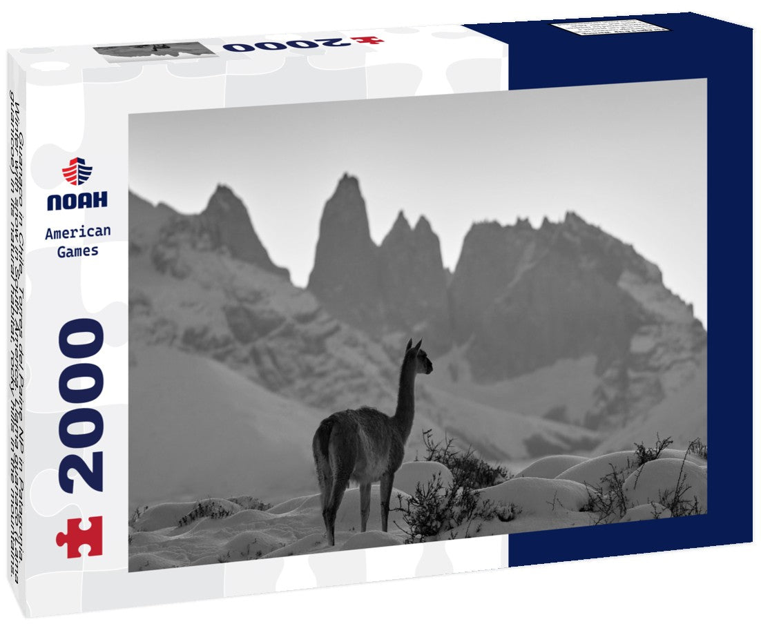 Noah Jigsaw Puzzle Guanaco in Chile, Torres del Paine NP in Patagonia. Winter with snow in South America. Llama guanaco (Lama guanicoe) in its natural habitat, rocky hills in the mountains. Sunset with snow in Patagonia in black white 2000 pieces