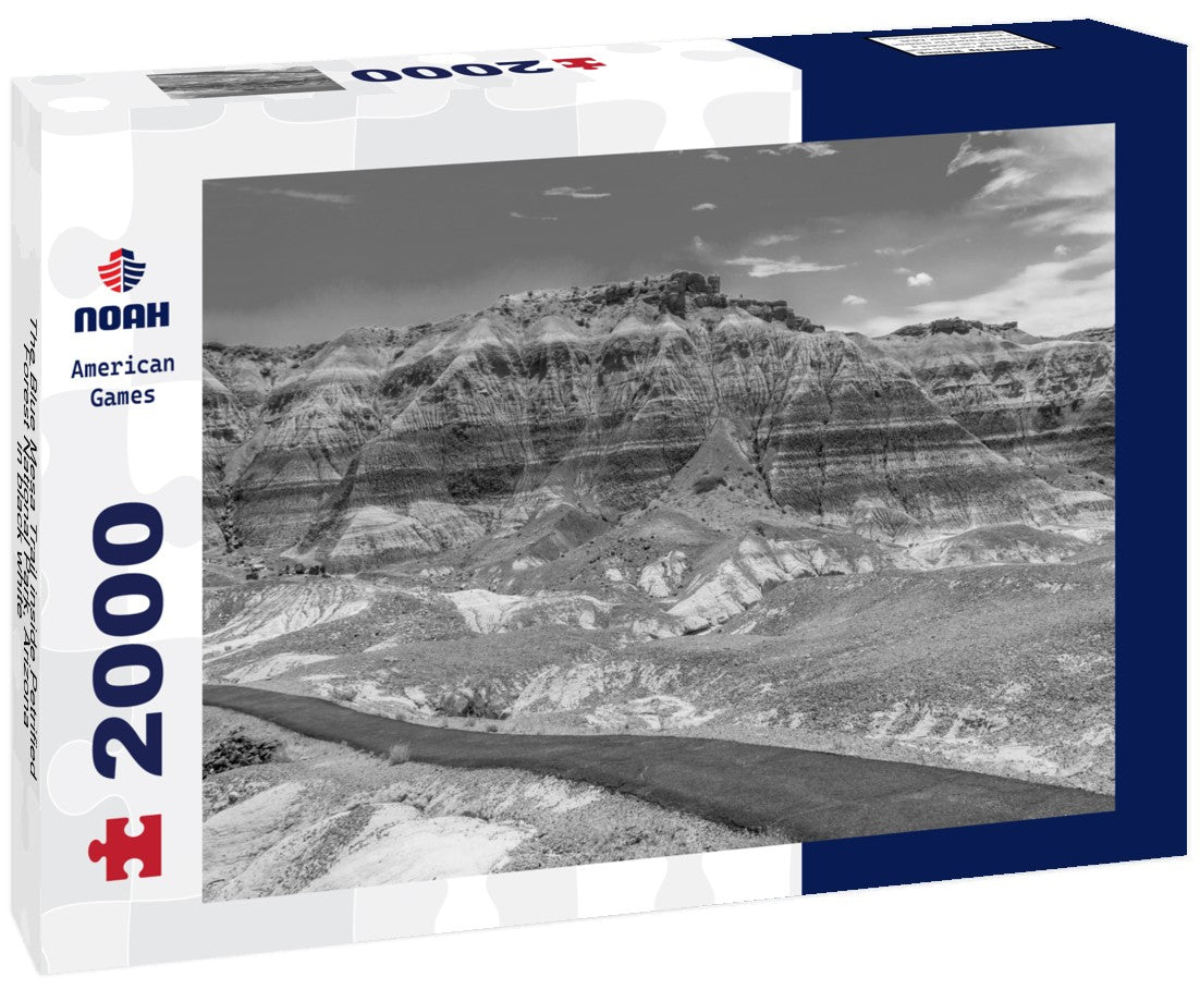 Noah Jigsaw Puzzle The Blue Mesa Trail inside Petrified Forest National Park, Arizona in black white 2000 pieces