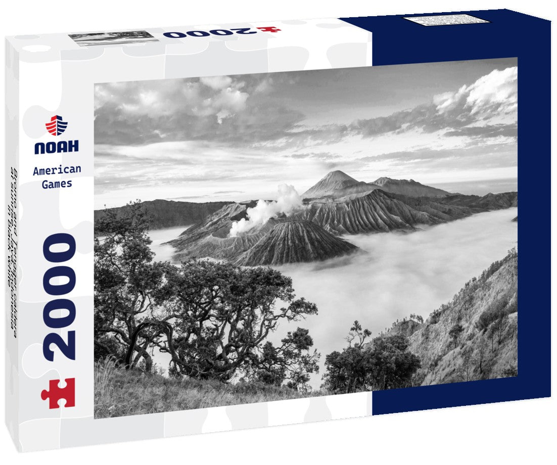 Noah Jigsaw Puzzle Bromo and Tengger caldera at sunrise, Java, Indonesia in black white 2000 pieces