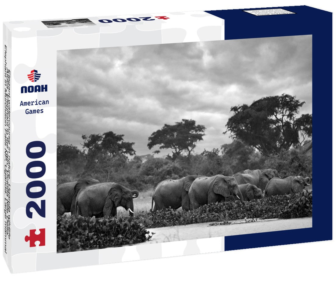 Noah Jigsaw Puzzle Elegant watercourse in nature. Uganda wildlife, Africa. Elephant in the rain, Victoria Nile Delta. Elephant in Murchison Falls NP, Uganda. Large mammal in green grass, forest vegetation in black white 2000 pieces