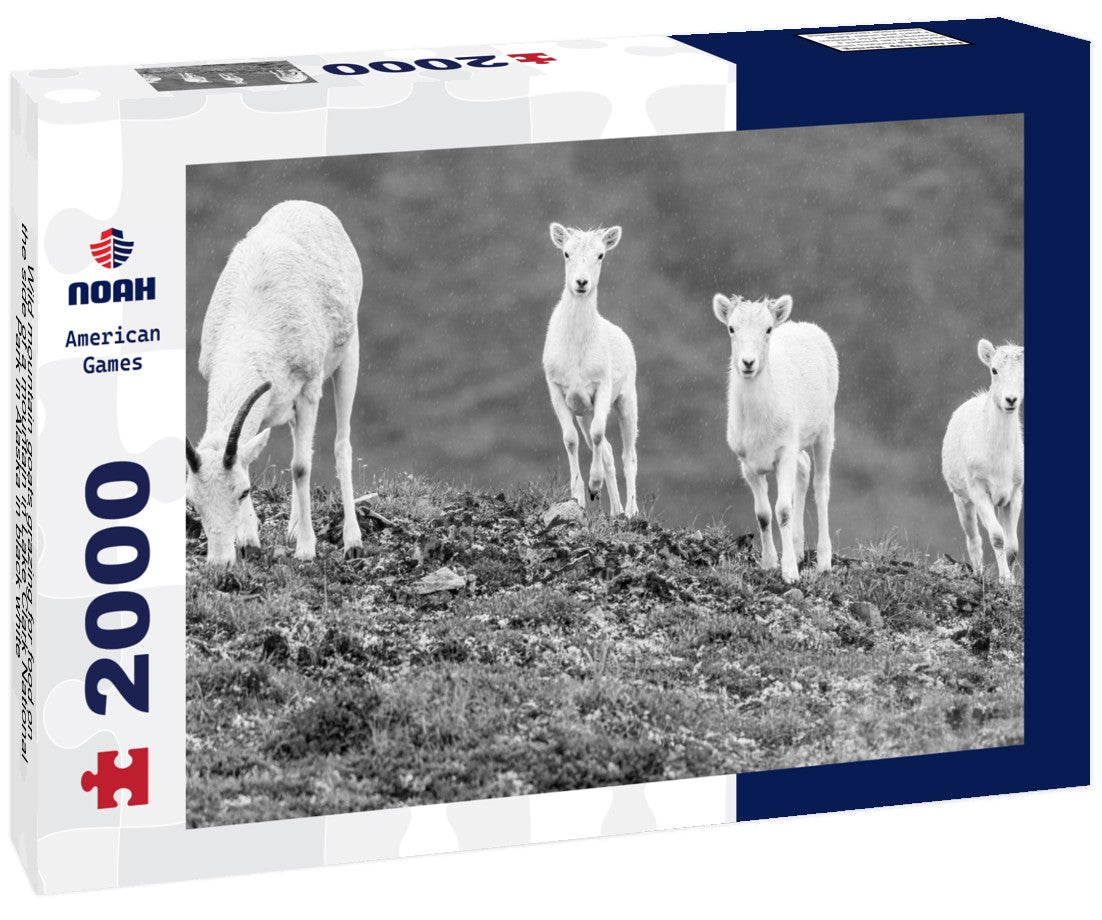 Noah Jigsaw Puzzle Wild mountain goats grazing for food on the side of a mountain in Lake Clark National Park in Alaska in black white 2000 pieces