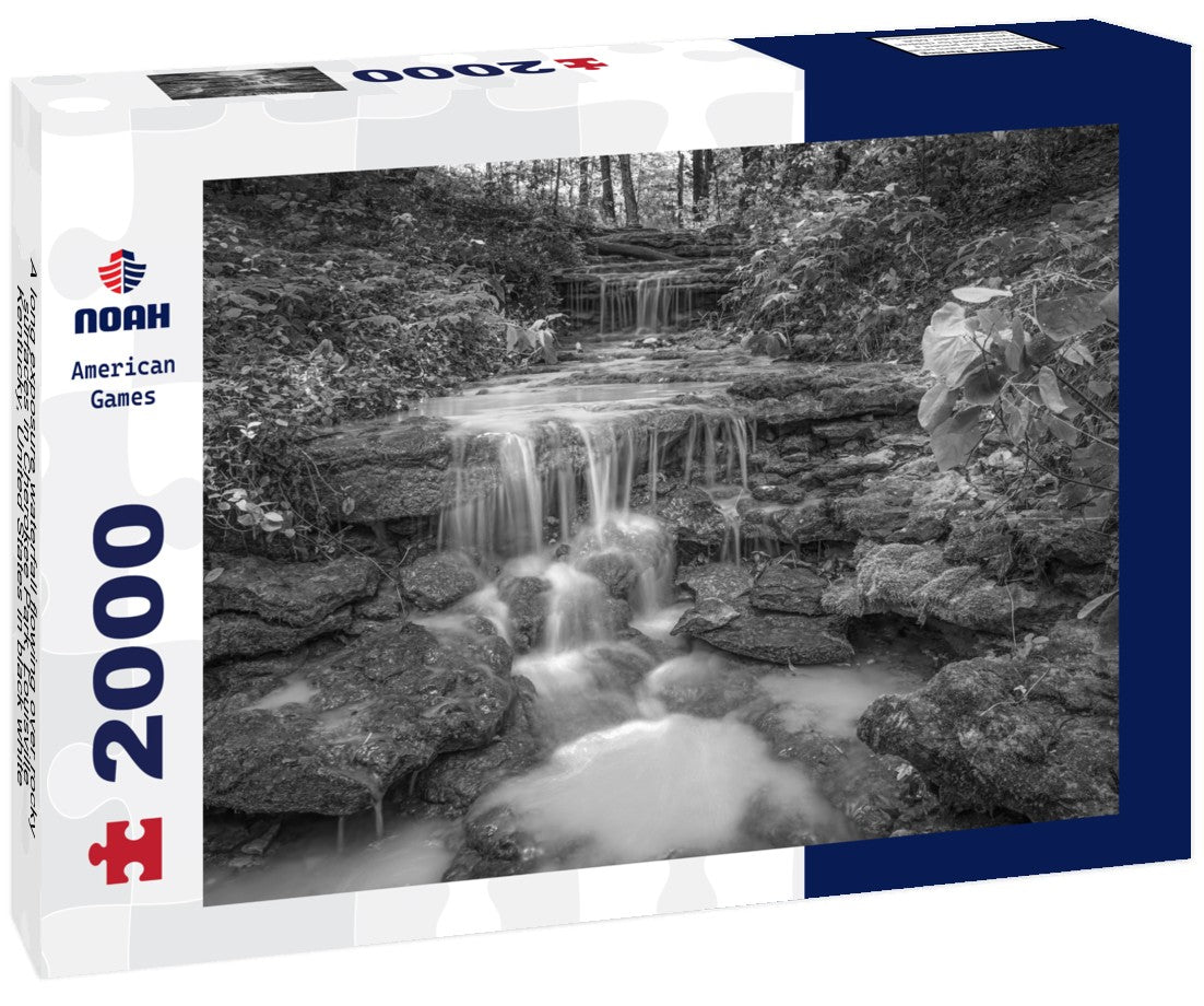 Noah Jigsaw Puzzle A long exposure waterfall flowing over rocky surfaces in Cherokee Park, Louisville, Kentucky, United States in black white 2000 pieces