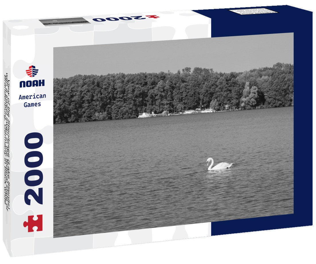 Noah Jigsaw Puzzle View of the Stienitzsee (Lake Stienitz) with a sweet swan in the federal state of Brandenburg, Germany in black white 2000 pieces