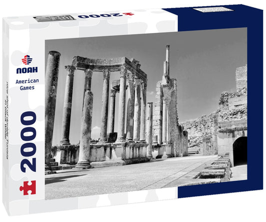 Noah Jigsaw Puzzle nice shot of double Tunisia in black white 2000 pieces