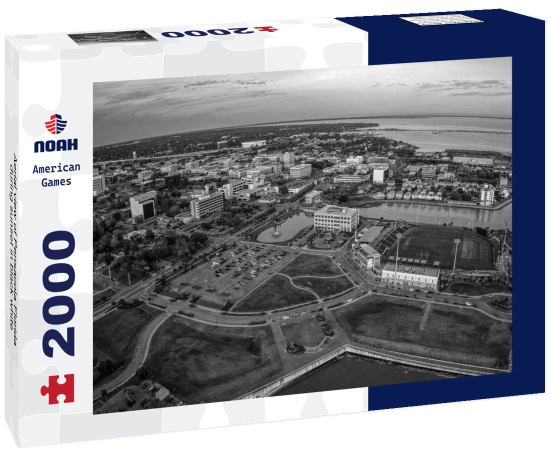 Noah Jigsaw Puzzle Aerial view of Pensacola Florida during sunset in black white 2000 pieces