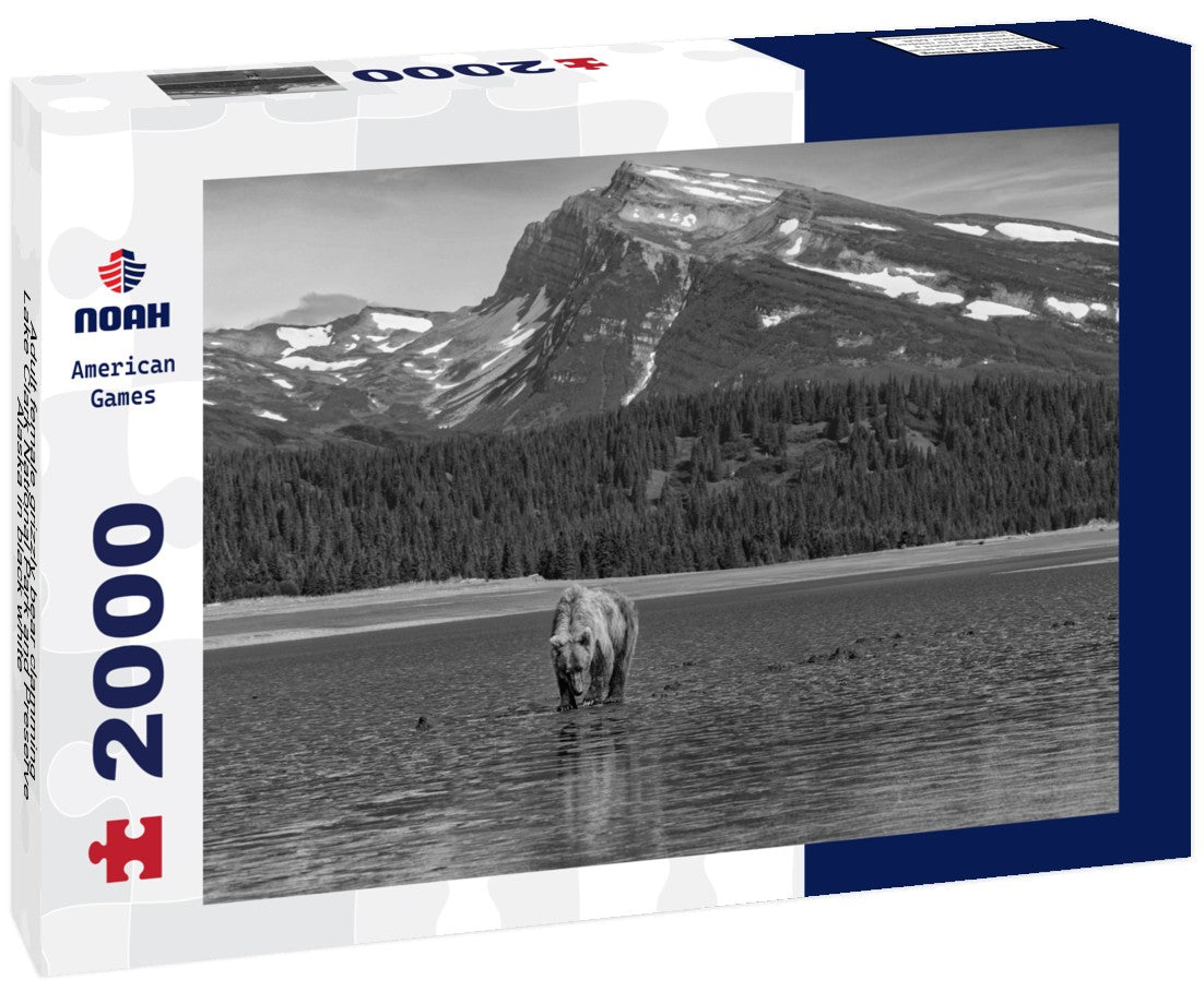 Noah Jigsaw Puzzle Adult female grizzly bear clamming, Lake Clark National Park and Preserve, Alaska in black white 2000 pieces