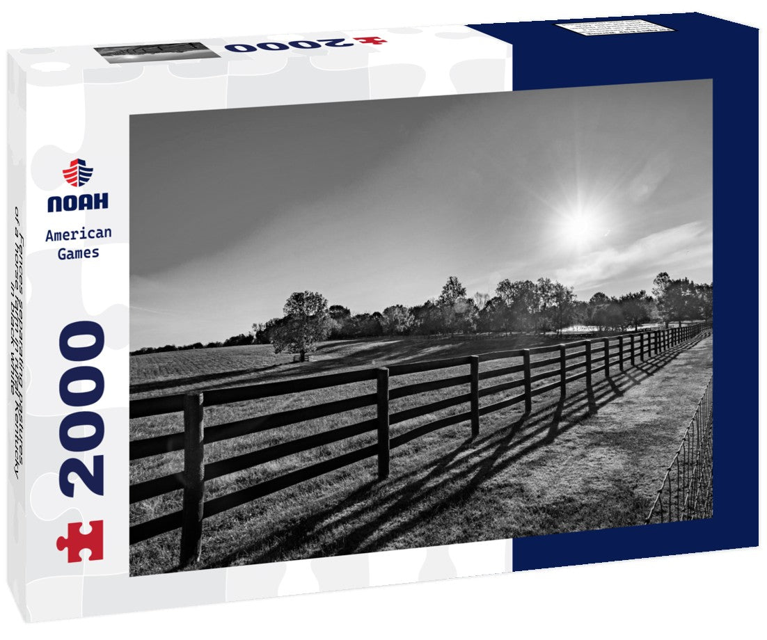 Noah Jigsaw Puzzle Fences separating pastures of a horse farm in rural Kentucky in black white 2000 pieces
