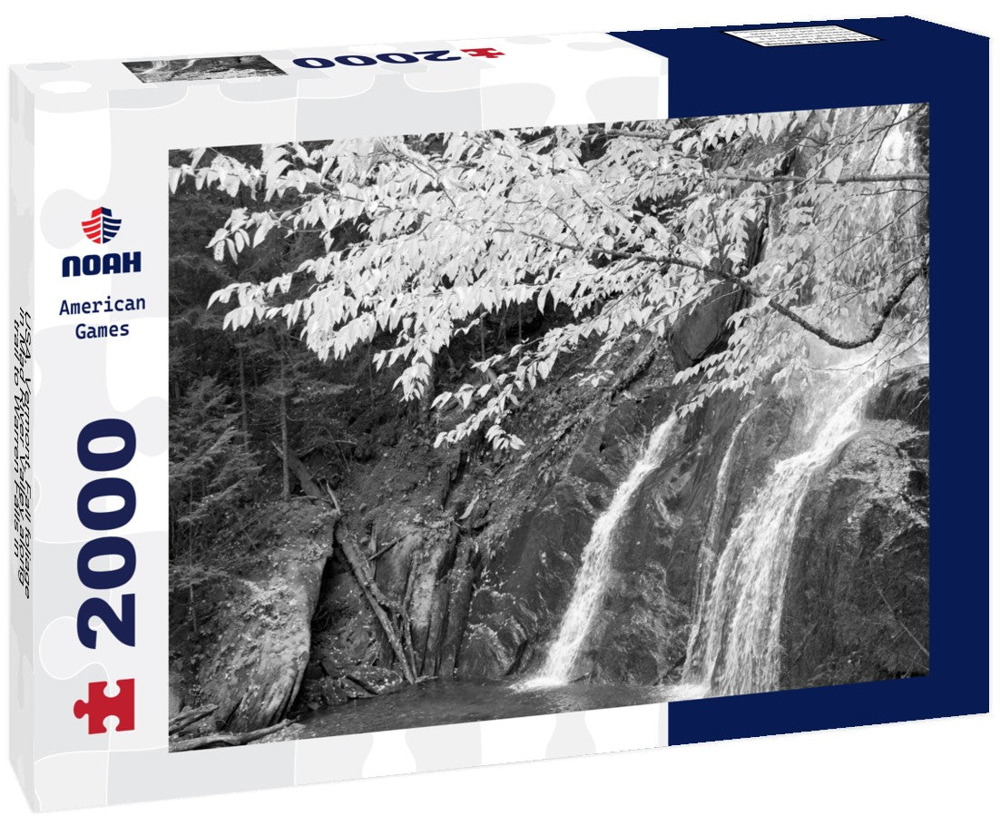 Noah Jigsaw Puzzle USA, Vermont, Fall foliage in Mad River Valley along trail to Warren Falls in black white 2000 pieces