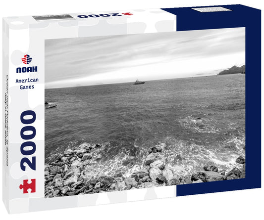 Noah Jigsaw Puzzle Ocean near Portofino, la Spezia, Italy in black white 2000 pieces