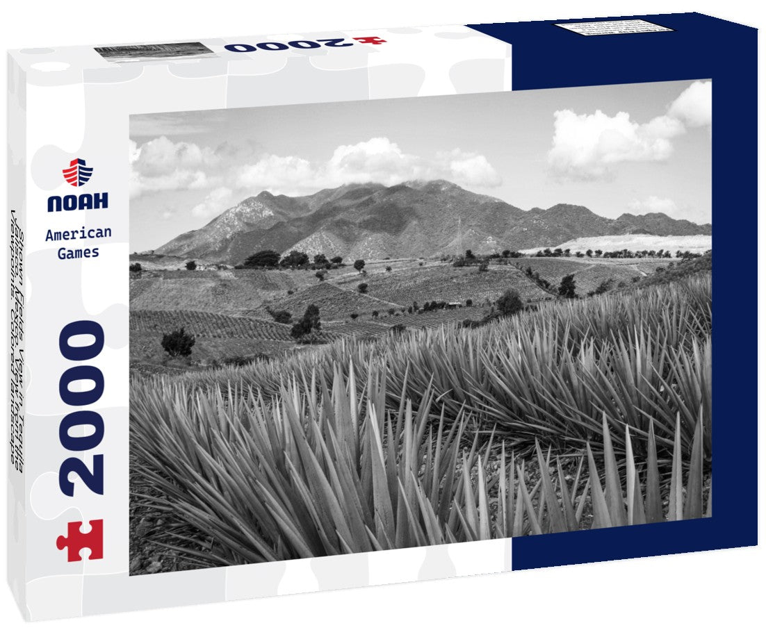Noah Jigsaw Puzzle Shown Fields View in Tequila, Jalisco, Mexico. View from the Viewpoints. Colored landscape with Ave in black white 2000 pieces