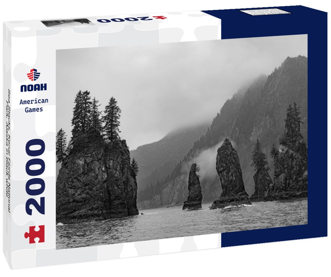 Noah Jigsaw Puzzle Sea Stacks, Kenai Fjords National Park, Alaska in black white 2000 pieces