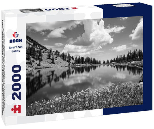Noah Jigsaw Puzzle Yellow flowers on the edge of Johnson Lake, an alpine lake in the Snake Range, located inside Great Basin National Park in Nevada, seen on a summer day. Large cumulus clouds are seen in the blue sky in black white 2000 pieces