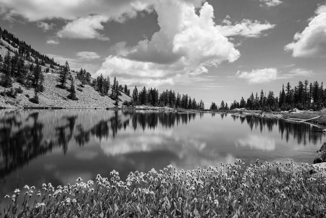 Yellow flowers on the edge of Johnson Lake, an alpine lake in the Snake Range, located inside Great Basin National Park in Nevada, seen on a summer day. Large cumulus clouds are seen in the blue sky 2000pc PuzzleBlack and White