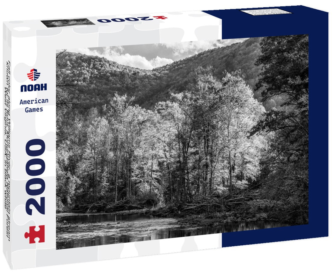 Noah Jigsaw Puzzle Fall color along Williams River, a mountain stream known for its trout, Monongahela National Forest, West Virginia, USA. in black white 2000 pieces