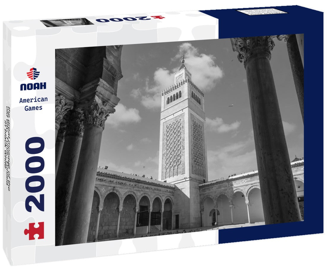 Noah Jigsaw Puzzle the great mosque of the old city, Tunis, Tunisia in black white 2000 pieces