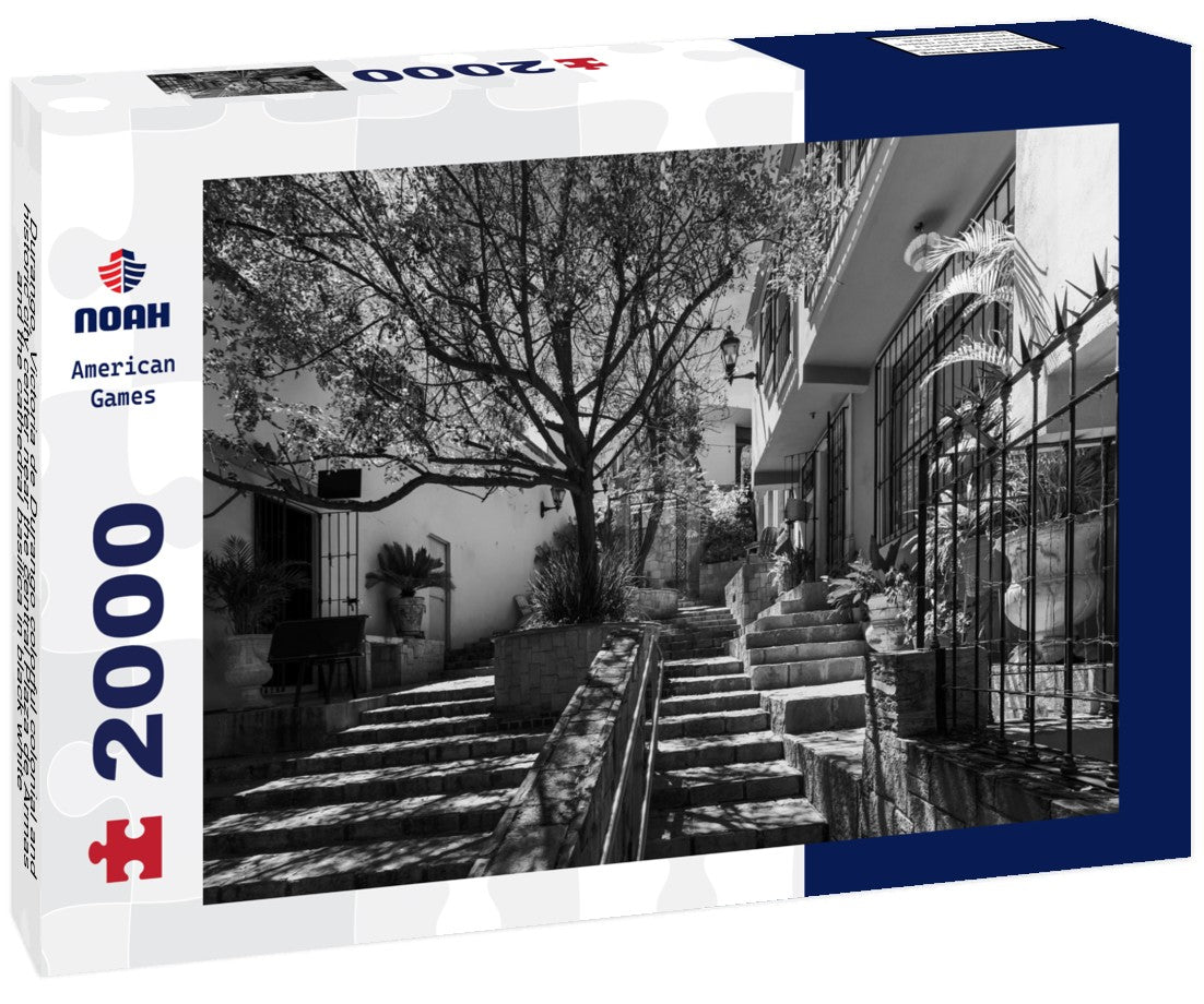Noah Jigsaw Puzzle Durango, Victoria de Durango colorful colonial and historic city center near the central Plaza de Armas and the cathedral basilica in black white 2000 pieces