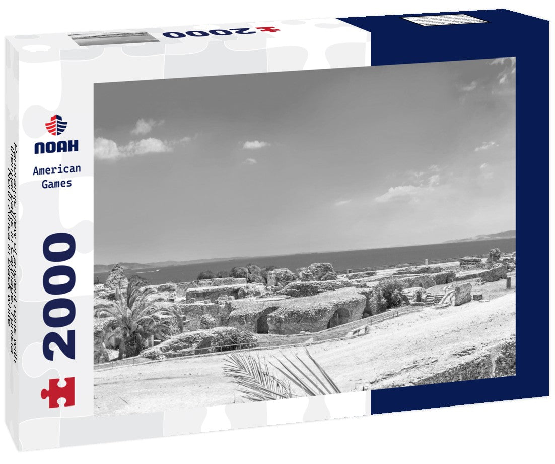 Noah Jigsaw Puzzle Panoramic view of ancient ruins with thermal baths in Carthage. Tunisia, North Africa in black white 2000 pieces