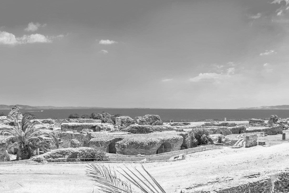 Noah Jigsaw Puzzle Panoramic view of ancient ruins with thermal baths in Carthage. Tunisia, North Africa in black white 2000 pieces