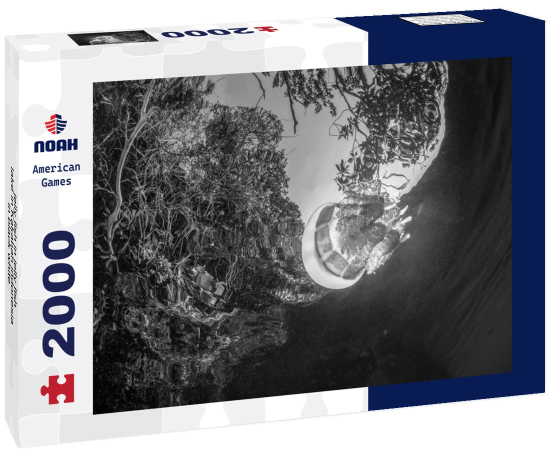 Noah Jigsaw Puzzle jelly fish in jelly fish lake in Kakaban indonesia in black white 2000 pieces
