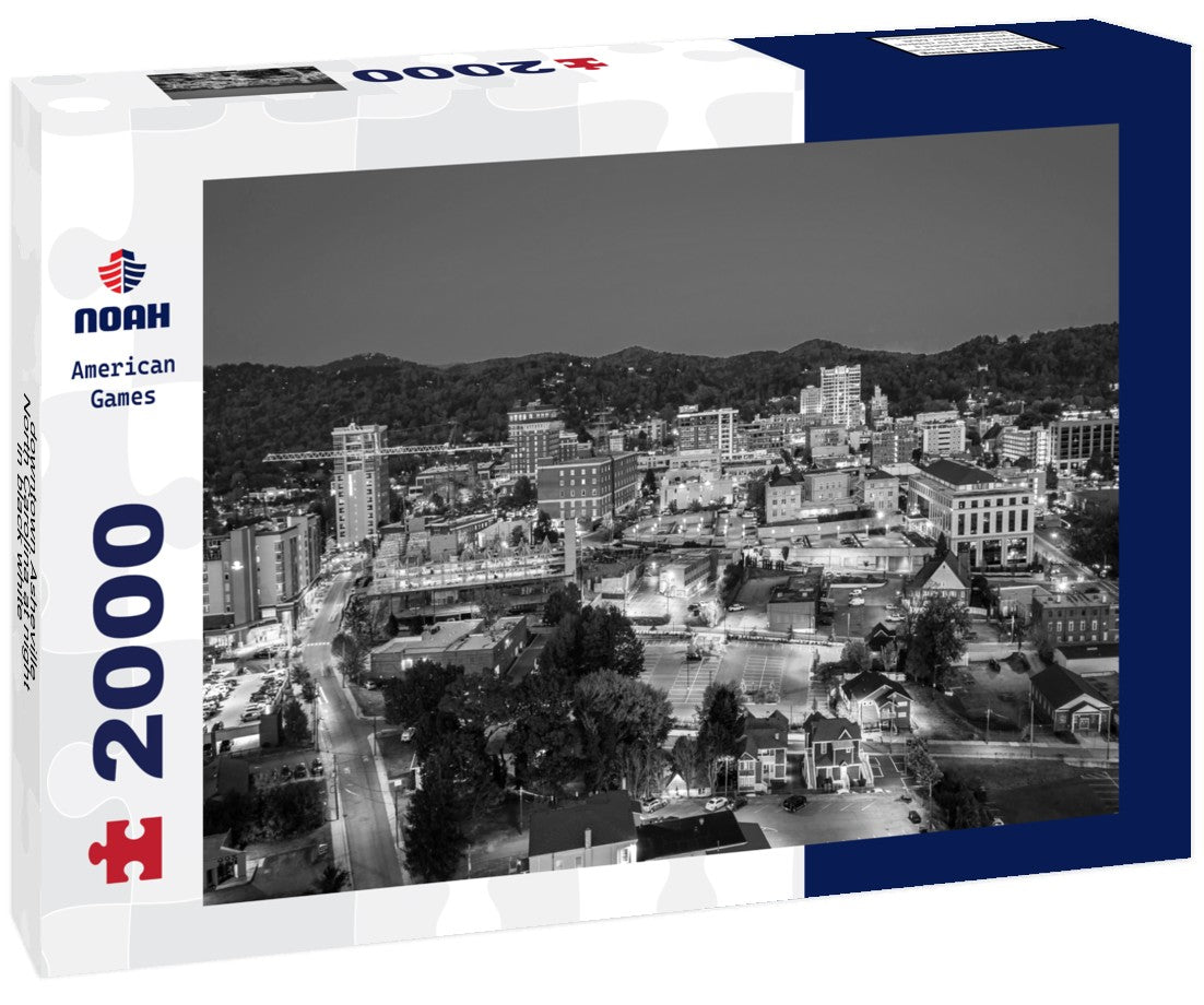 Noah Jigsaw Puzzle downtown Asheville, North Carolina at night in black white 2000 pieces