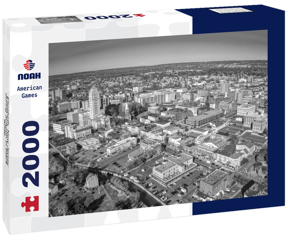 Noah Jigsaw Puzzle Elizabeth, New Jersey during autumn in black white 2000 pieces