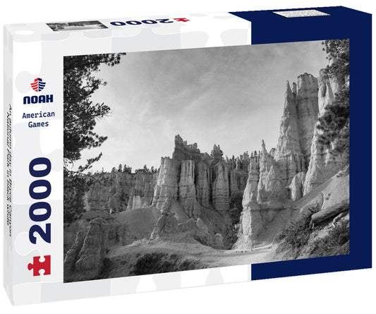 Noah Jigsaw Puzzle An autumn day in Bryce Canyon National Park in black white 2000 pieces