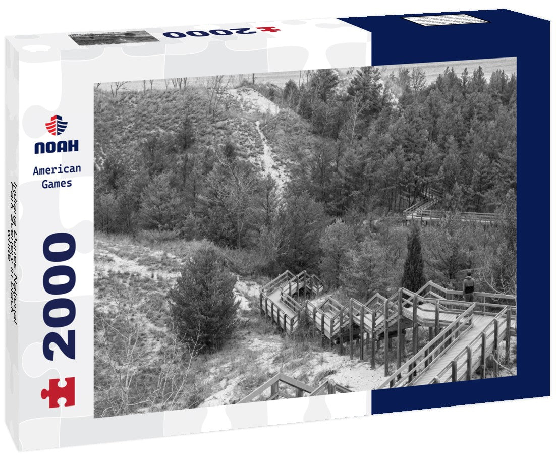 Noah Jigsaw Puzzle Indiana Dunes National Park Scenery in black white 2000 pieces