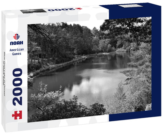 Noah Jigsaw Puzzle Blue Pool Lake in Dorset in black white 2000 pieces