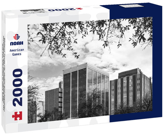 Noah Jigsaw Puzzle Midland Texas city skyline and downtown skyscrapers with dramatic cloudy blue sky and tree branches in black white 2000 pieces