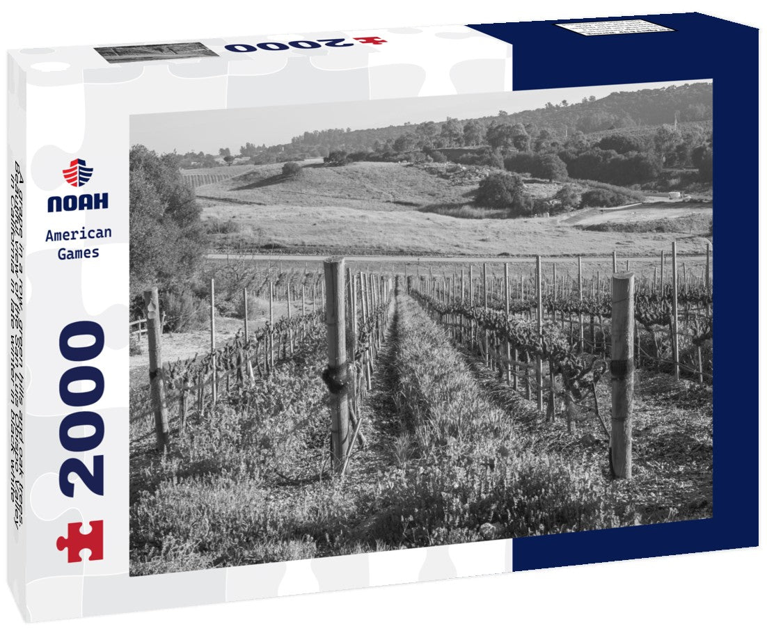 Noah Jigsaw Puzzle A grape in a row, green hills and oak trees. Beautiful view of the San Luis Obispo Valley in California in late winter in black white 2000 pieces