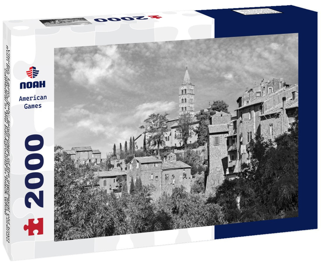Noah Jigsaw Puzzle Viterbo, Lazio, Italy: landscape of the medieval old town from the city park, with the bell tower of the San Lorenzo cathedral in the background in black white 2000 pieces