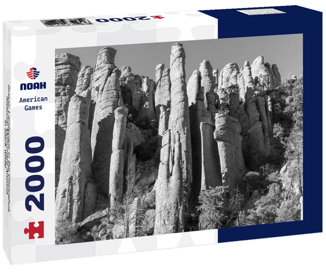 Noah Jigsaw Puzzle Scenic Landscape in the Chiricahua National Monument Arizona in black white 2000 pieces