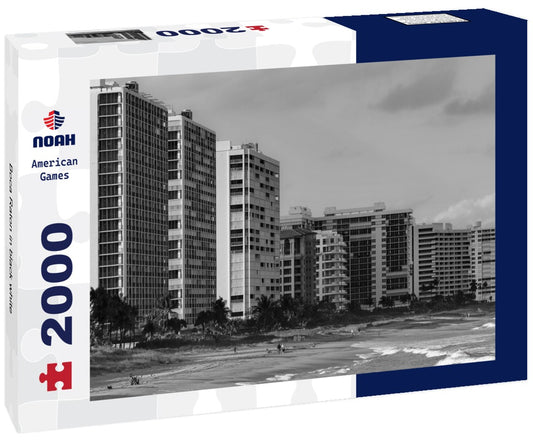 Noah Jigsaw Puzzle Boca Raton in black white 2000 pieces