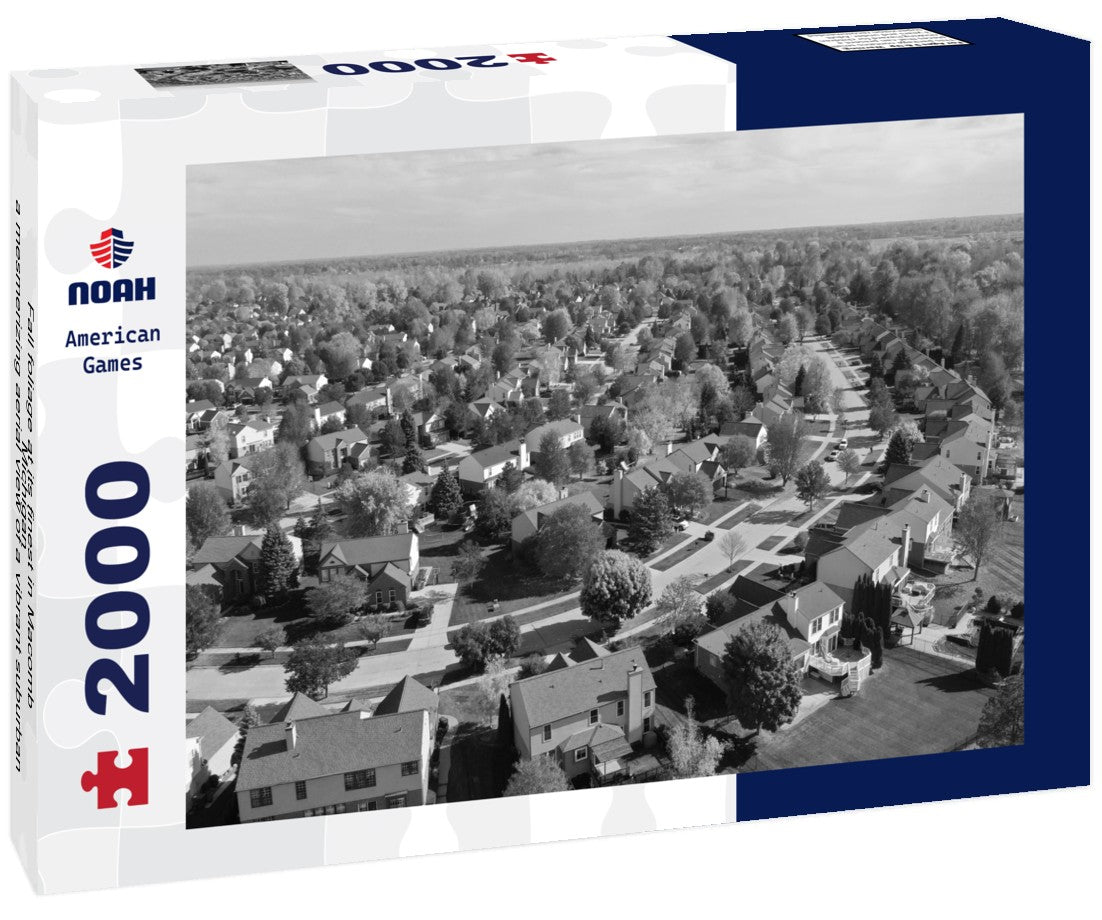 Noah Jigsaw Puzzle Fall foliage at its finest in Macomb, Michigan - a mesmerizing aerial view of a vibrant suburban neighborhood with colorful trees and small backyard ponds in black white 2000 pieces