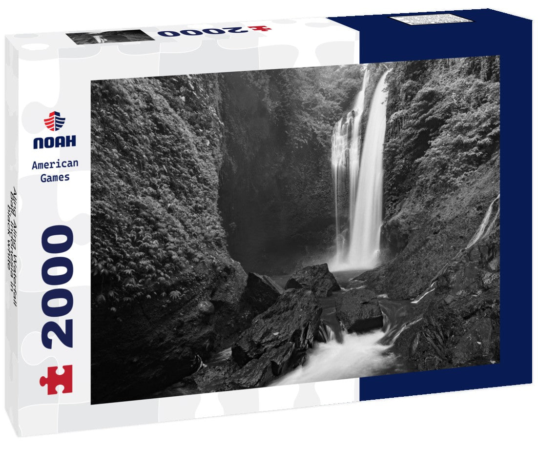 Noah Jigsaw Puzzle Aling Aling Waterfall, Bali, Indonesia in black white 2000 pieces