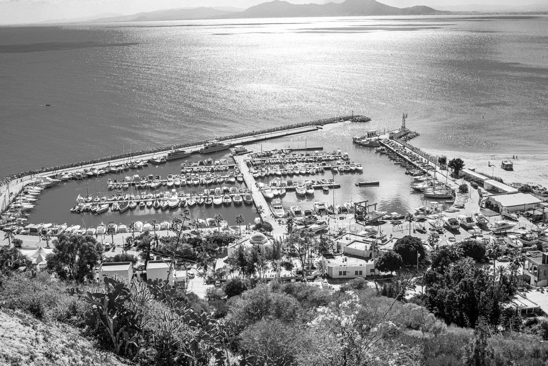 Port de Sidi Bou Said, Tunisia 2000pc PuzzleBlack and White