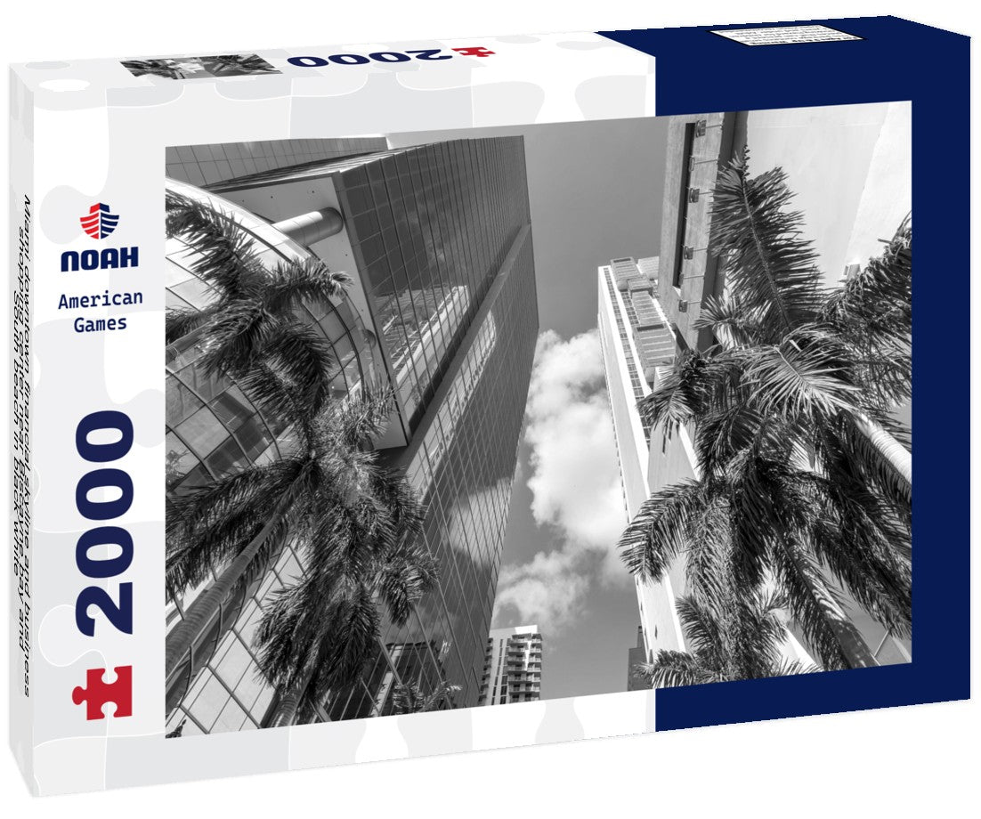 Noah Jigsaw Puzzle Miami downtown financial skyline and business shopping center near Biscayne bay and South beach in black white 2000 pieces