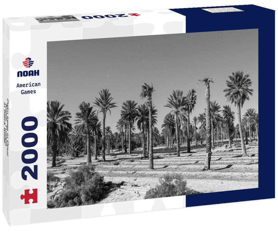 Noah Jigsaw Puzzle Palm trees in Douz, Kebili, Tunisia in black white 2000 pieces