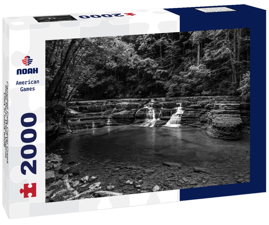 Noah Jigsaw Puzzle Campbell Falls Camp Creek State Park, West Virginia, USA in black white 2000 pieces