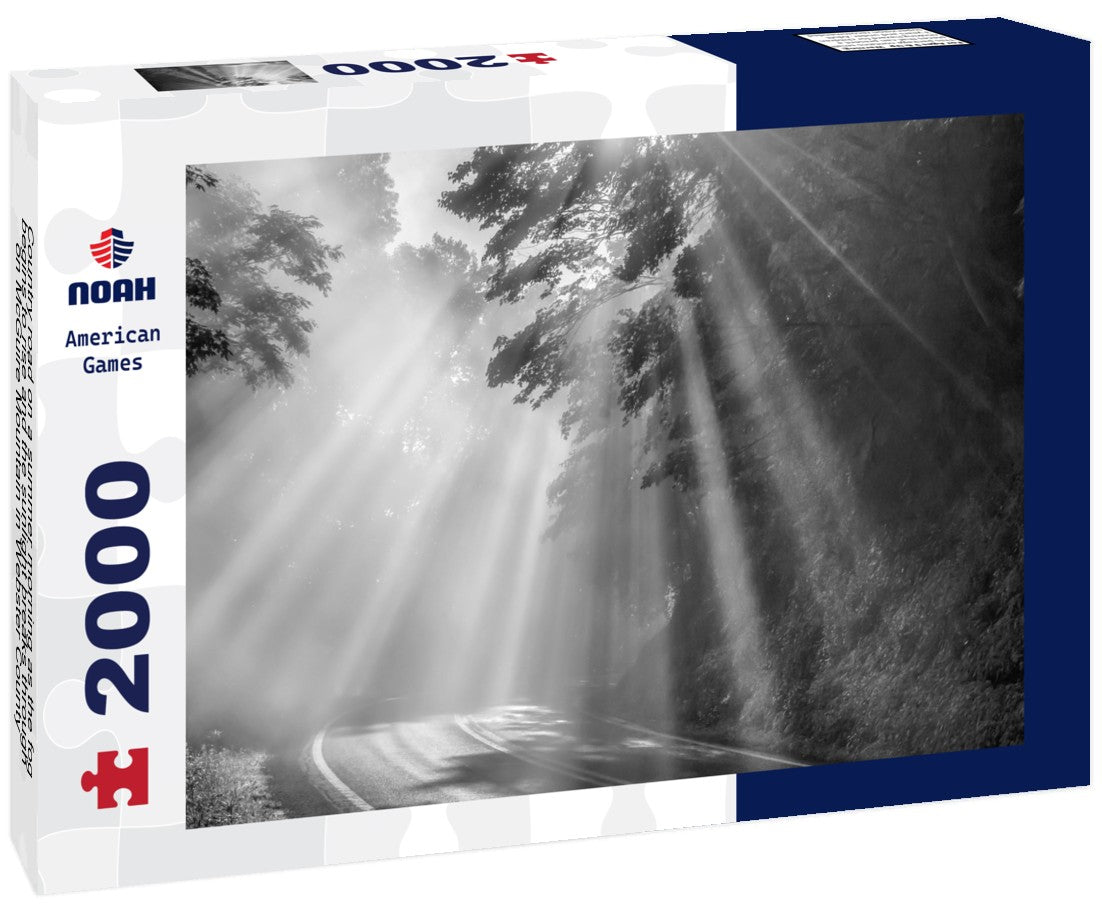 Noah Jigsaw Puzzle Country road on a summer morning as the fog begins to rise and the sunlight breaks through on McGuire Mountain in Webster County, West Virginia, USA in black white 2000 pieces
