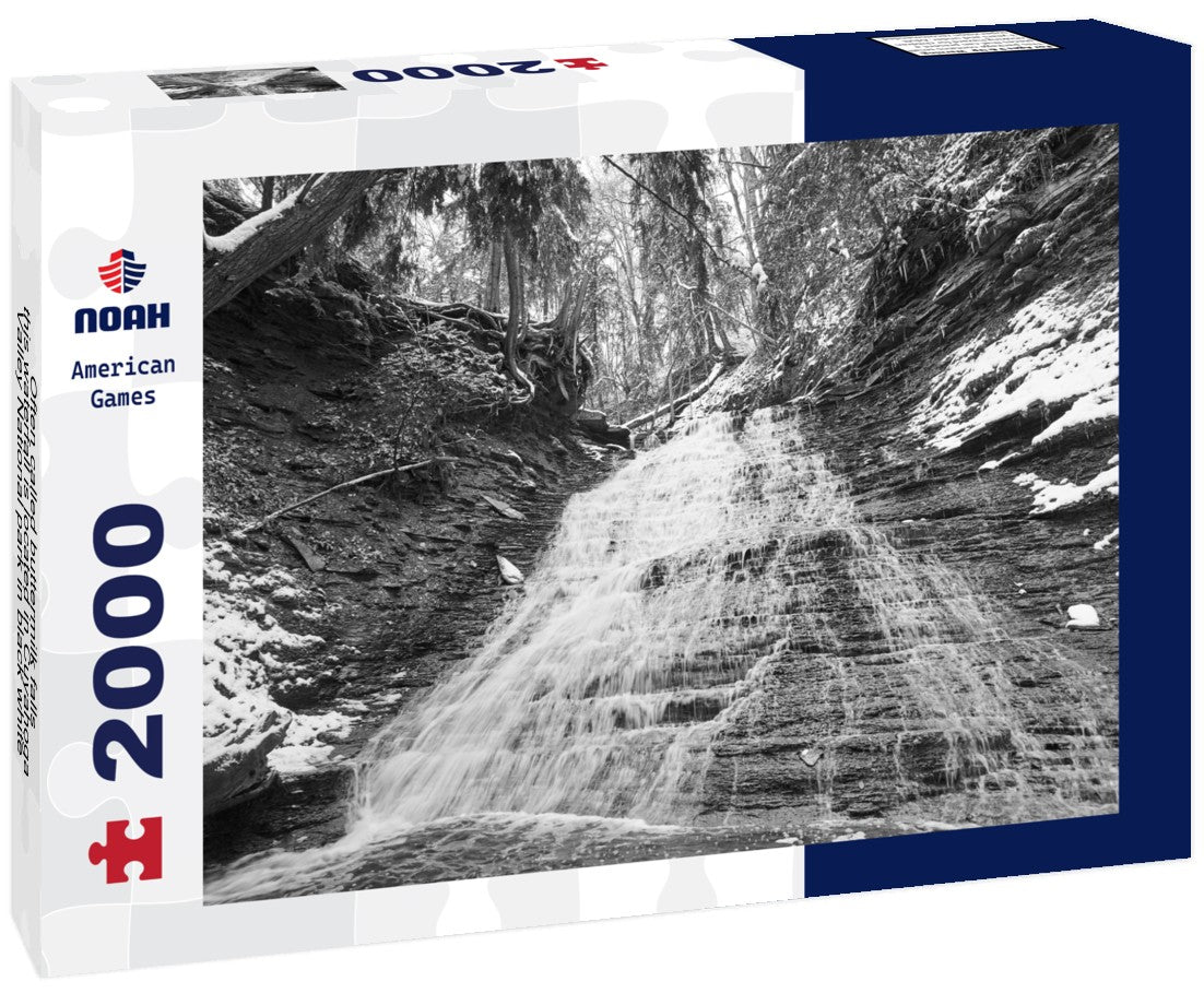 Noah Jigsaw Puzzle Often called buttermilk falls, this waterfall is located in Cuyahoga Valley National park in black white 2000 pieces