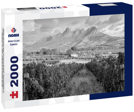 Noah Jigsaw Puzzle Wine landscape at sunset with mountains in Stellenbosch, near Cape Town, South Africa. Grapes on the vineyard in black white 2000 pieces
