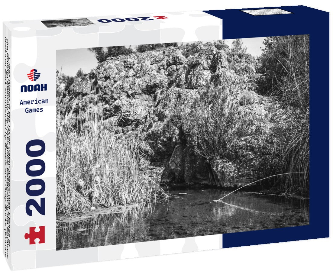 Noah Jigsaw Puzzle Clear Water in the River Vathy Argaki with Stones at the Bottom Feeding the Dipotamos Reservoir in the Potamos National Park surrounded by Reeds and Gray Rocks (Kornos, Larnaca District, Cyprus) in black white 2000 pieces